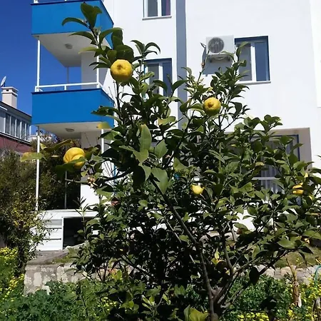 Lägenhetshotell Parla Çeşme