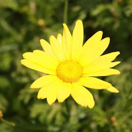 Aparthotel Parla Çeşme